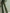 Retro Elegant Green Leopard Print Hooded Velvet Jumpsuit