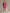 Sporty Retro Pink Cotton Half-Zip Ruffle Sweatshirt Mini Dress
