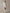 Stylish And Elegant Off-white Ruffled Tencel Denim Midi Dress