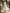 Draped Neck Sleeveless Pleated Midi Dress