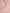 Romantic Square Neck Button Bell Sleeve Pink Seahorse Knit Mini Dress