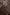 Luxury Fashion Crocodile Pattern Mocha Brown Faux Leather Skirt