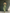 Women's Light Green Cotton And Linen Blend One-Shoulder Wide-Leg Jumpsuit With Tie Waist MDZ3136A8T