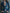 Classic Fitted Denim Jean Jacket With Pockets