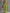 Casual Retro Western Collar Front Zipper Bright Green Cotton Linen Jumpsuit