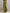 Tan Cotton Linen Halter Neck Smocked Waist Wide Leg Jumpsuit