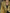 High-End Fashionable Loose Gold Pleated Suit Jacket