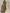 Olive Green Sleeveless Denim Utility Jumpsuit - Paperbag Waist & Pockets