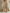 High-Waist Wide-Leg Split Pants With Drawstring Waist