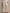 Modern One-Shoulder Top & Cropped Wide-Leg Pants Set