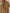 Bow Neck Cocoon Linen Maxi Dress With Zipper Front