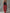 Retro Casual Workwear Style Black V-Neck Mesh Top And Red Cotton Pants Set