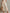 Bohemian Lace-Trimmed Linen-Blend Halter Harem Jumpsuit