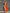 Casual Fashion Strapless Orange And Off-White Contrast Cotton-Linen Jumpsuit