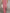 Retro Pink Denim Sleeveless Jumpsuit