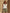 Solid Color Henry Half-open Collar Sleeveless Cotton And Linen Top