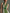 Women's Vacation Style Green And White Color-Block Linen-Cotton Halter V-Neck Waist-Tailored Maxi Dress MDZ2051E3GMJ