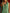 Western Retro Ruffled Green Collared Sleeveless Denim Mini Dress
