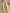 Urban-Chic Light Yellow Cotton-Linen Top And Trousers Set