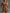 Western Retro Brown Faux Suede Sleeveless Fringe Shorts Jumpsuit