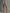 Women's Minimalist Striped Hooded Sleeveless Raw-Hem Mini Dress MDZ0135F1Y