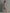 Women's Minimalist Striped Hooded Sleeveless Raw-Hem Mini Dress MDZ0135F1Y