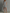 Women's Minimalist Striped Hooded Sleeveless Raw-Hem Mini Dress MDZ0135F1Y