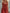 Retro Casual Square-Neck Front-Buttoned Terracotta Red Cotton Jumpsuit