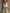 Casual Fashion Retro White Tank Top And Light Brown Striped Lantern Pants Set