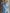 Vintage-style Casual Light Blue Cotton Collared Top And Shorts Set