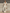 Women’s Beige V-Neck Knit Cap Sleeve Top & Elastic Waist Lace Hem Linen Wide Leg Pants Two-Piece Set MDZ0877F8T