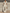 Women’s Beige V-Neck Knit Cap Sleeve Top & Elastic Waist Lace Hem Linen Wide Leg Pants Two-Piece Set MDZ0877F8T
