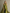 Elegant And Romantic Green Satin Camisole Maxi Dress Paired With A Chiffon Shawl MDZ0825F0LXY