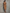 Women's Elegant Minimalist Faux Suede Halter V-Neck Midi Dress With Waist Ruching MDZ1163F9WY