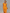 Women's Bright Orange Flowy Co-Ord With Collared Sleeveless Blouse & Elastic Waist Trousers, Modern Effortless-Chic Vacation Outfit MDZ1164F1LYL