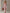 Retro Casual Pink Pinstriped Off-Shoulder Ruffled Jumpsuit