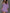 Vintage Softness Embroidered Off-Shoulder Mini Dress