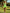 Fashion V-Neck Zipper Ruffle Hem Fluorescent Green Sporty Mini Dress