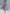 Elegant Contrasting Color Tweed Two-piece Set