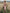Western Retro Pink Long-sleeved Tassel Midi Dress