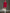 Sporty Stand Collar Zip-up Contrasting Trim Long-sleeved Mini Dress