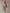 Retro Sporty Style Checkered Trim Powder Pink Sweatshirt Mini Dress