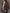 Herringbone Tweed Blazer With Printed Panels