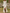 Retro White Lace V-neck Long Sleeve Tassel Short Front And Long Back Skirt Maxi Dress