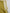 Casual Sports White Webbing Yellow-green Sleeveless Jumpsuit