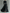 Women's Black Stitching White Trim High Collar Long Sleeve Tight Belt Maxi Dress MDA1031G0Y