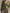 Elegant Olive Green Hooded Narrow Waist Zip-up Sweatshirt Long Sleeve Maxi Dress