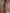 Desert Sunset Boho Ruched Midi Dress