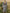 Retro Western Lapel Zipper Long Sleeve Tassel Midi Dress