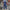 Men's Casual Washed Denim Multi-pocket Loose Overalls 89142810M